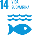 Vida submarina