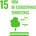 Vida de ecosistemas terrestres